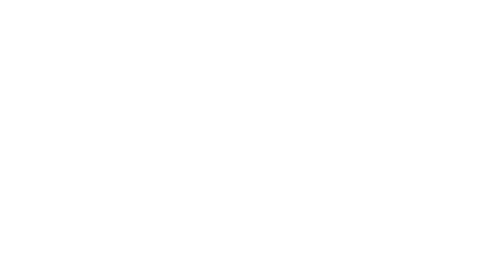 BarkNFly logo